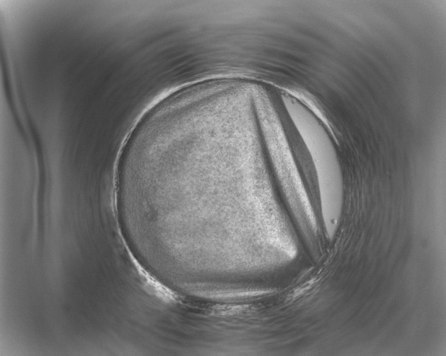 X0000067851143200605041708