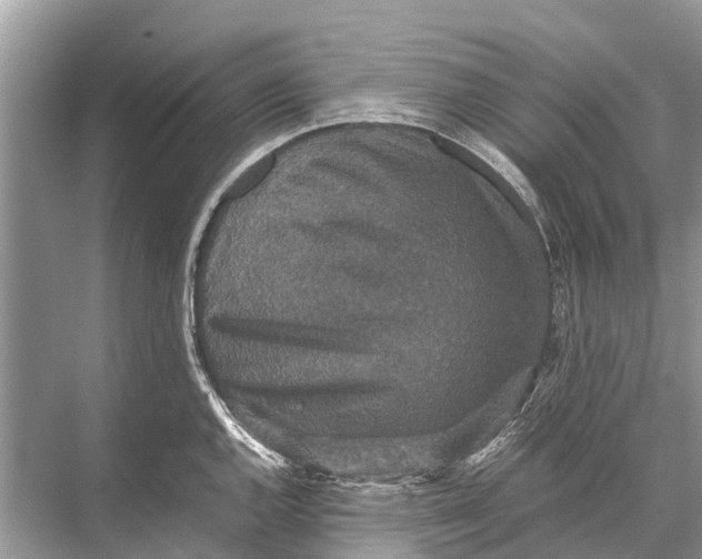 X0000067851144200605041708