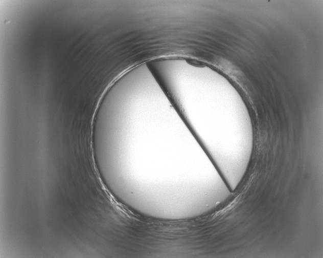 X0000067851145200605041708