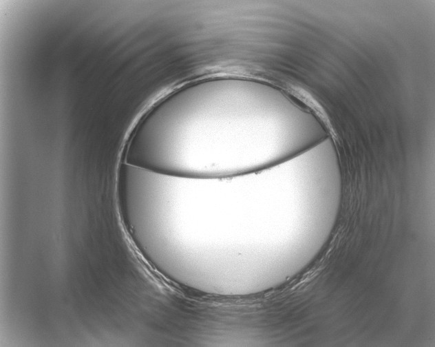 X0000067851146200605041708