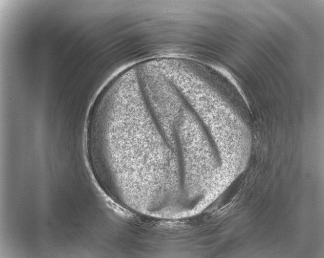 X0000067851147200605041709