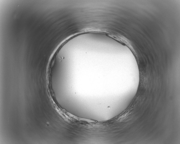 X0000067851148200605041709