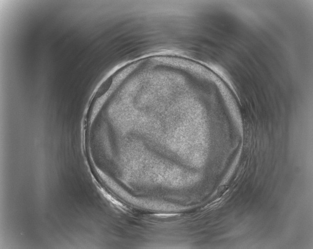 X0000067851151200605041709