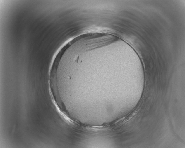 X0000067851152200605041709