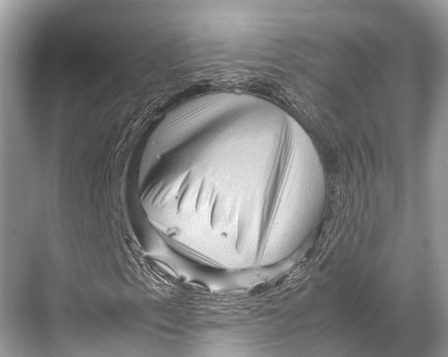 X0000067851153200605041708