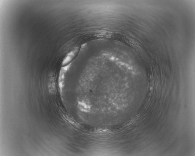 X0000067851154200605041708