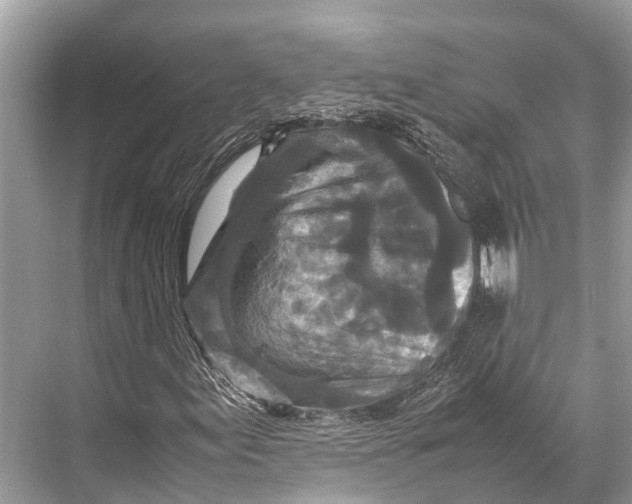 X0000067851155200605041708