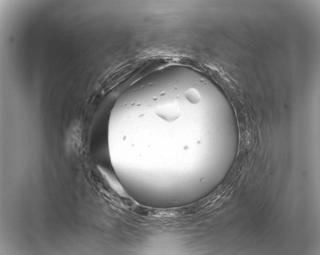 X0000067851157200605041708