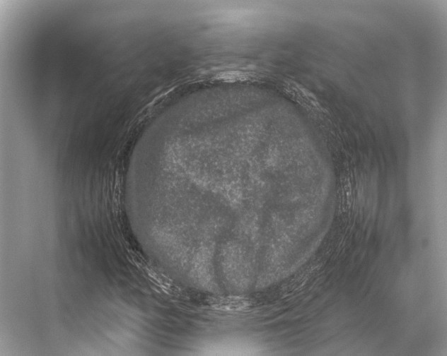 X0000067851158200605041708