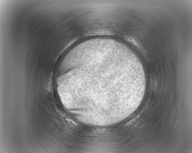 X0000067851162200605041708