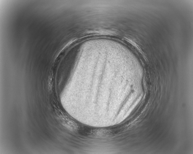 X0000067851163200605041708