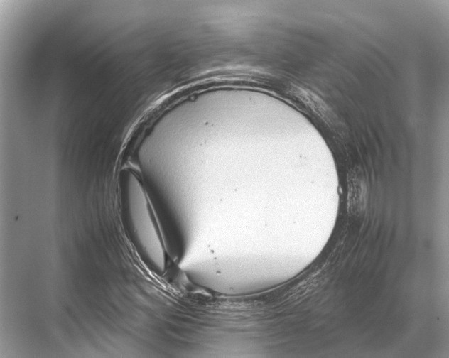 X0000067851164200605041708