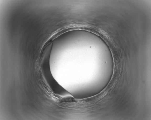 X0000067851165200605041708