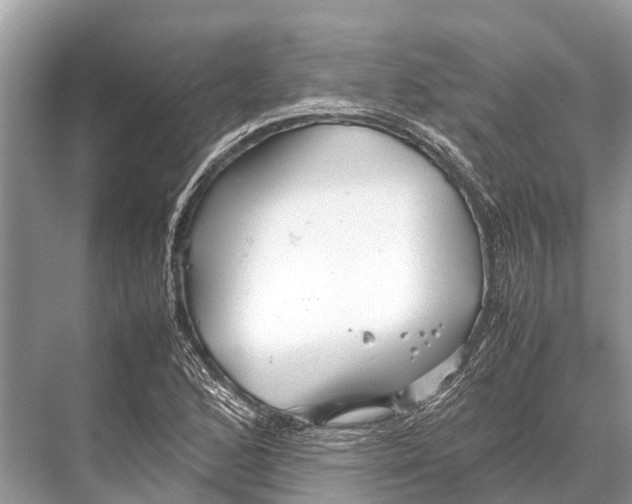 X0000067851168200605041708