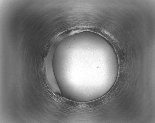 X0000067851169200605041708