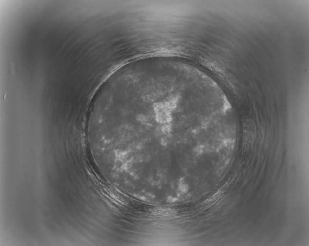 X0000067851170200605041707