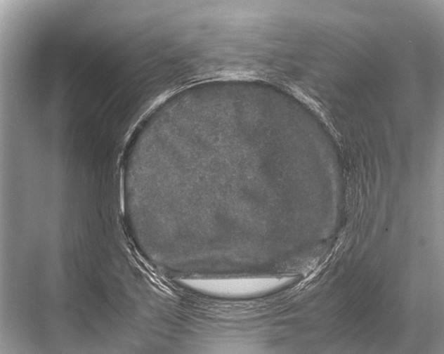 X0000067851171200605041707