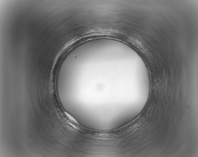 X0000067851172200605041707