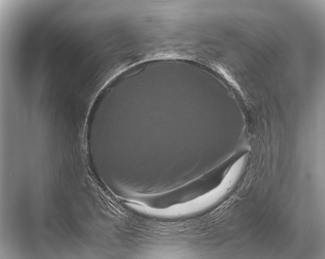 X0000067851173200605041707