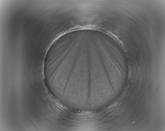 X0000067851174200605041707