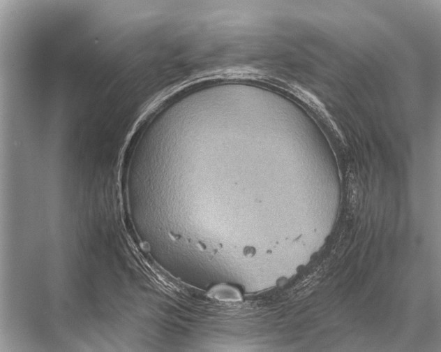 X0000067851176200605041707