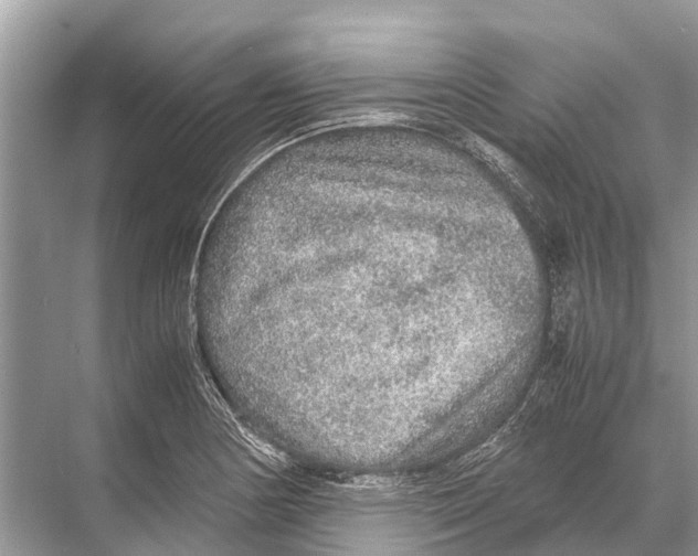 X0000067851178200605041707