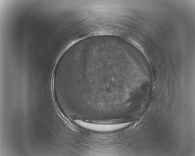 X0000067851179200605041707