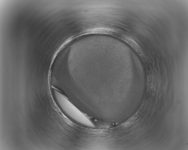 X0000067851180200605041707