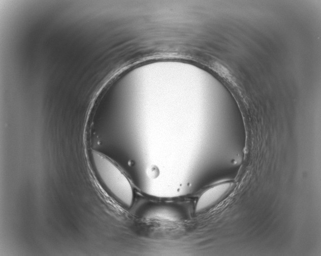 X0000067851181200605041707