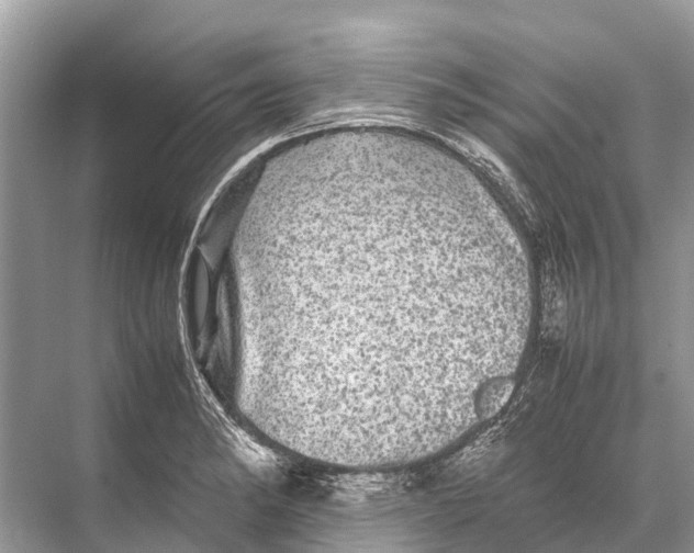 X0000067851182200605041707