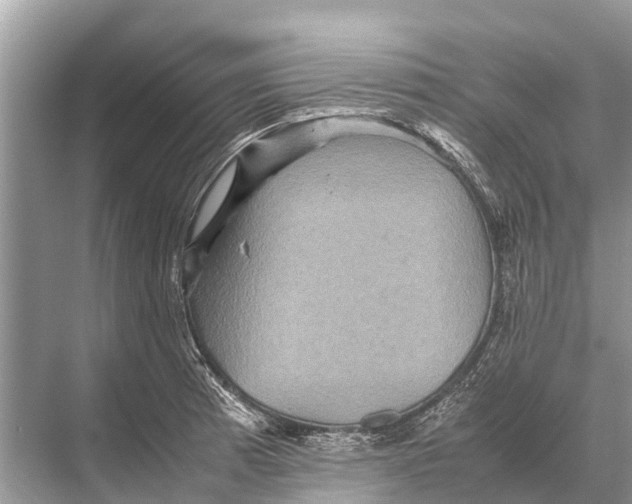 X0000067851185200605041707