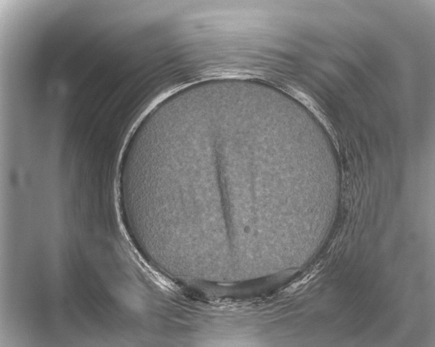 X0000067851187200605041707