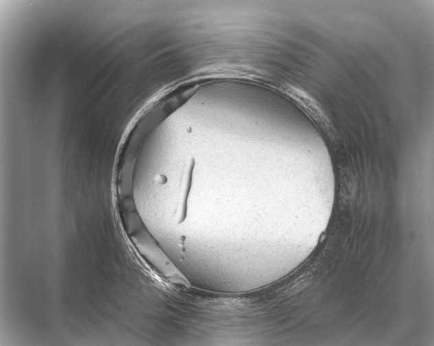 X0000067851188200605041707