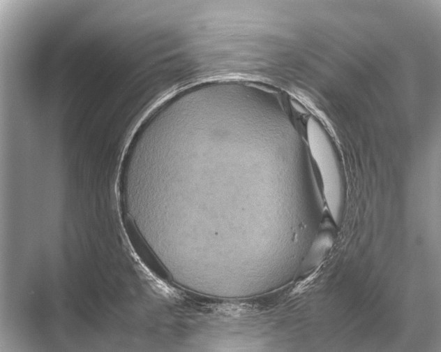 X0000067851189200605041707