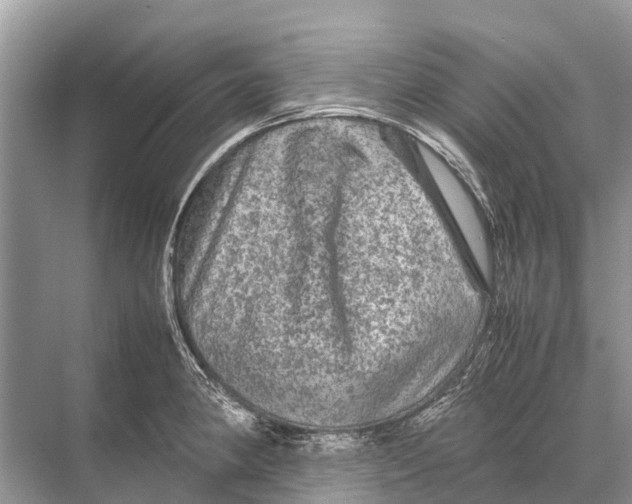 X0000067851190200605041707