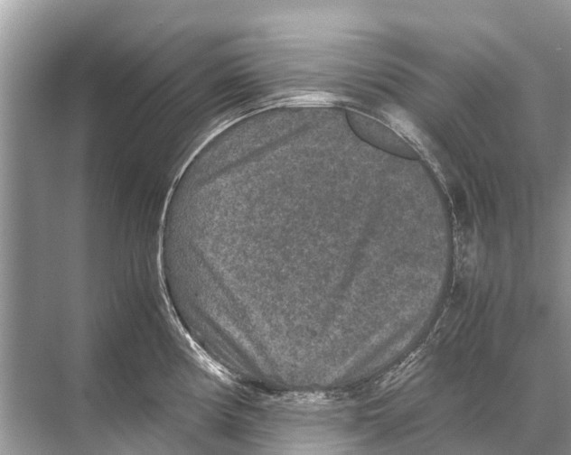 X0000067851194200605041707