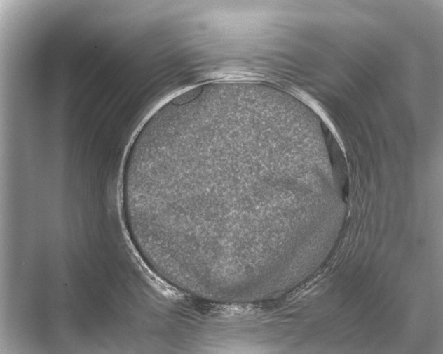 X0000067851195200605041707