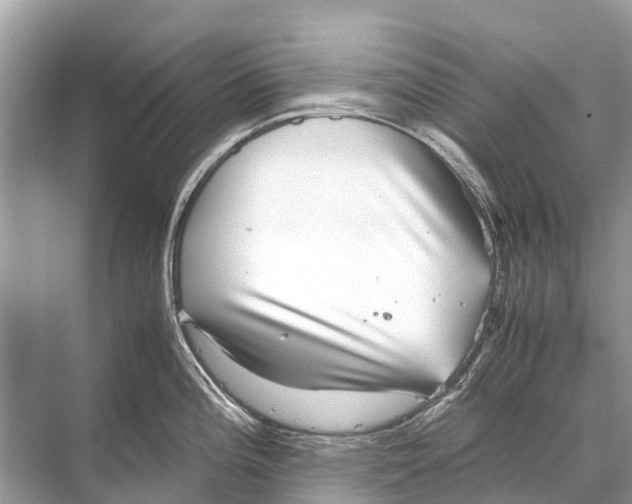 X0000067851196200605041707