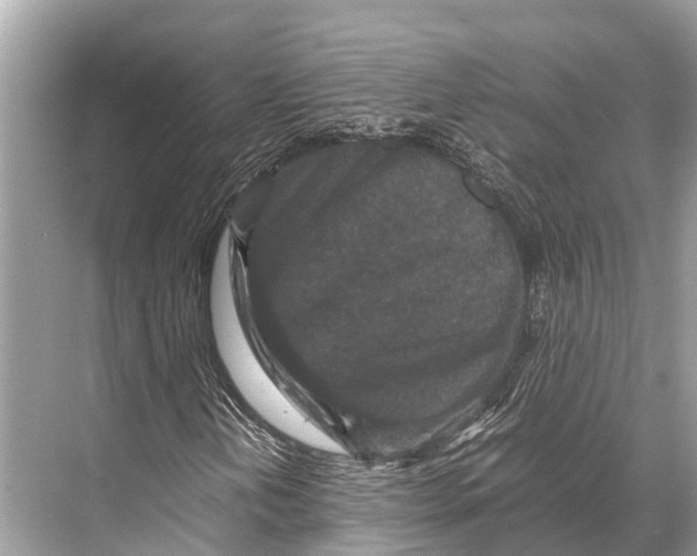 X0000067851202200605041706