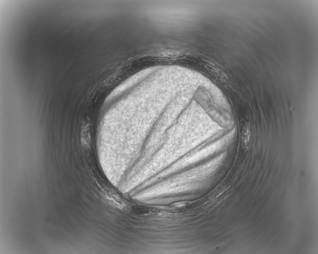 X0000067851204200605041706