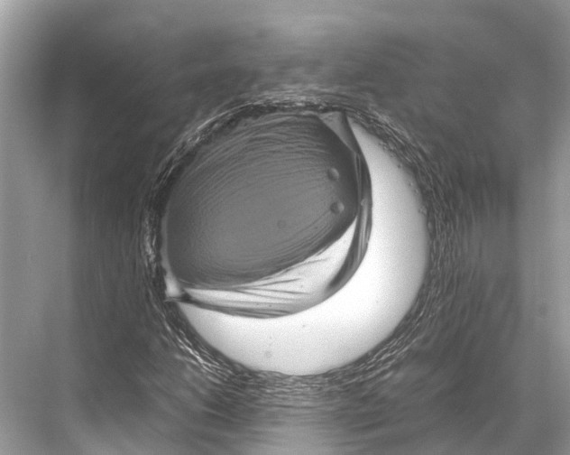 X0000067851206200605041706