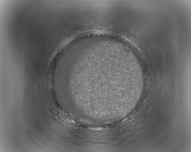 X0000067851207200605041706