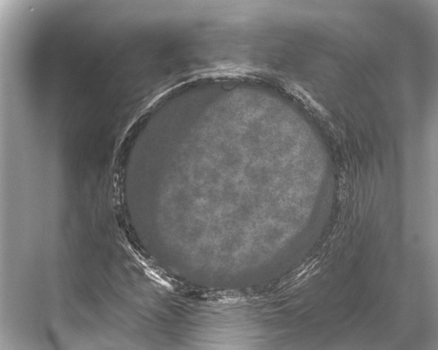 X0000067851208200605041706