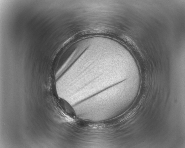 X0000067851210200605041706