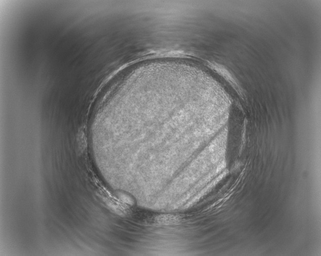 X0000067851212200605041706