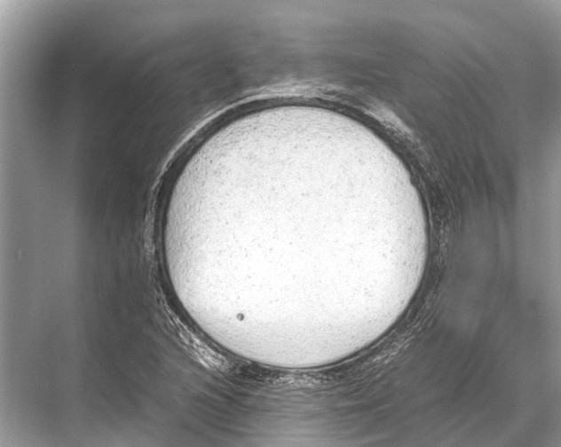 X0000067851216200605041706