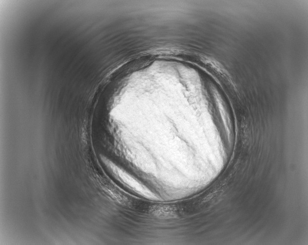 X0000067851217200605041706