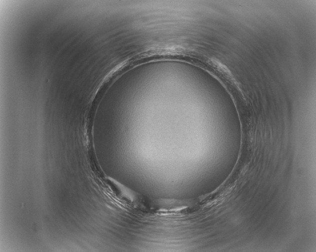 X0000067851218200605041706