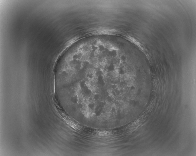 X0000067851219200605041706