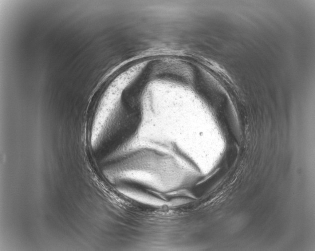 X0000067851220200605041707